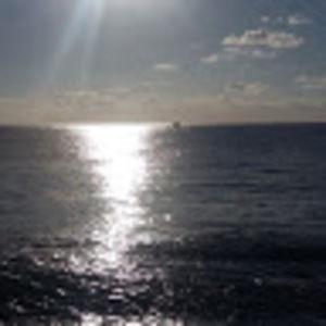 Meet your Posher, Charity